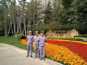白桦林间荃芬除甲醛施工案例