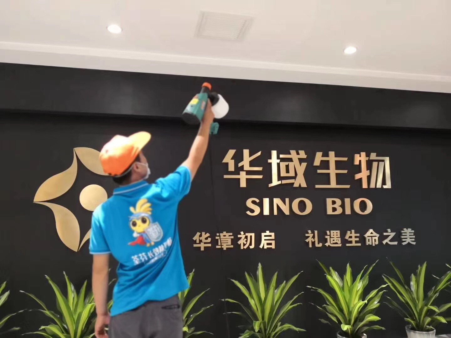 公司形象墙喷涂施工