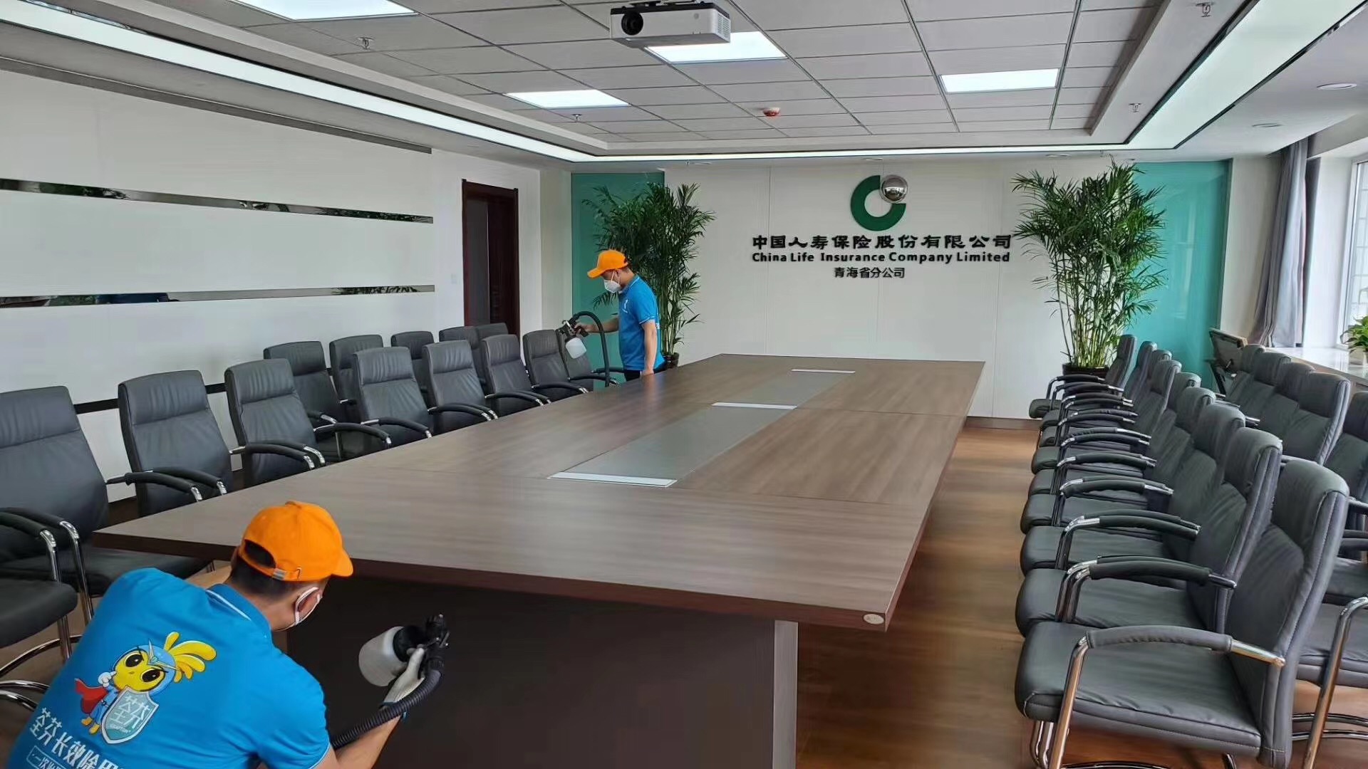 办公室会议室除甲醛